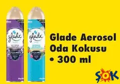 GLADE AEROSOL ODA KOKUSU 300 ML GLADE AEROSOL ODA KOKUSU 300 ML